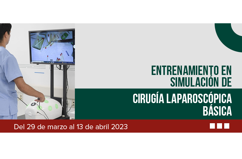  Entrenamiento en Simulación de Cirugía Laparoscópica Básica