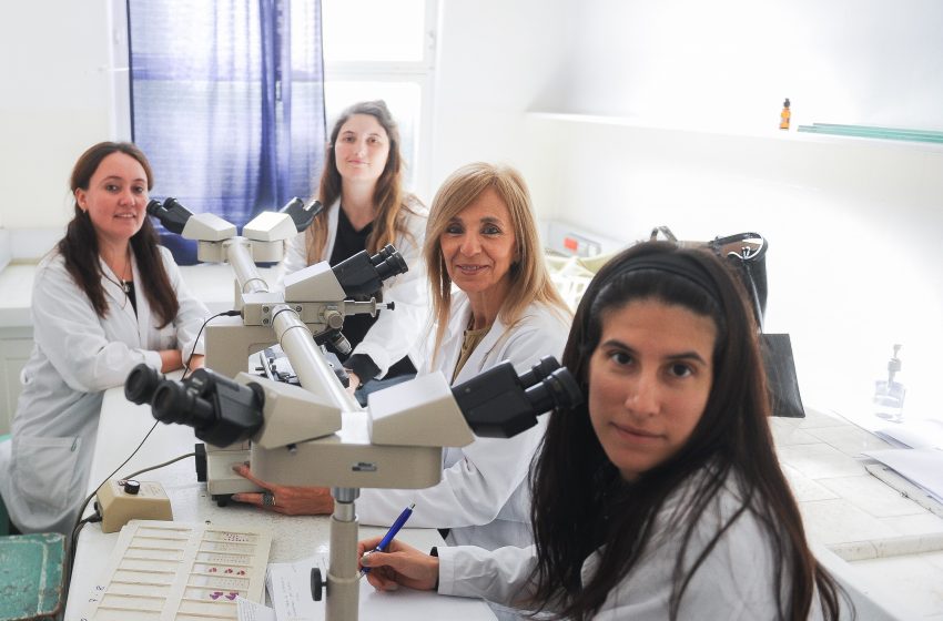  Nuevos residentes, nuevas esperanzas en el sistema de salud