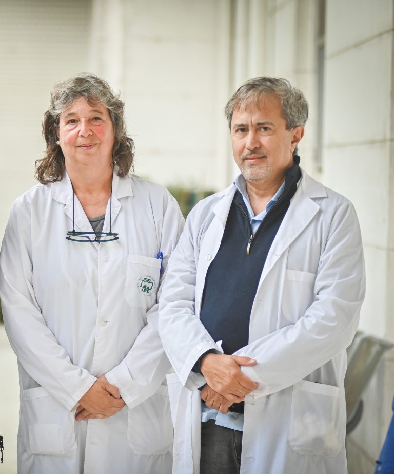 Un sistema local de salud mental