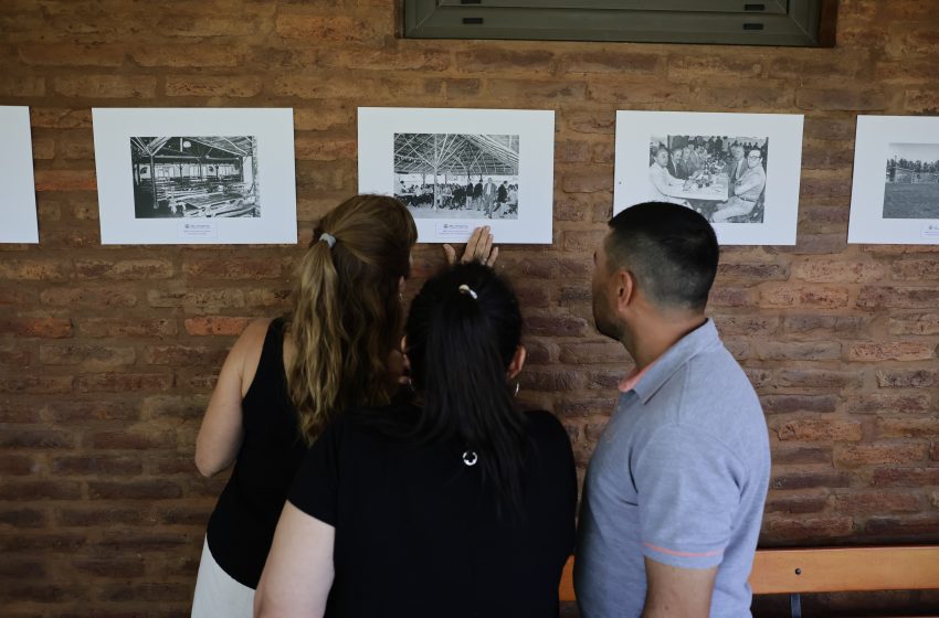 Ciclo de muestras, un espacio de expresión institucional