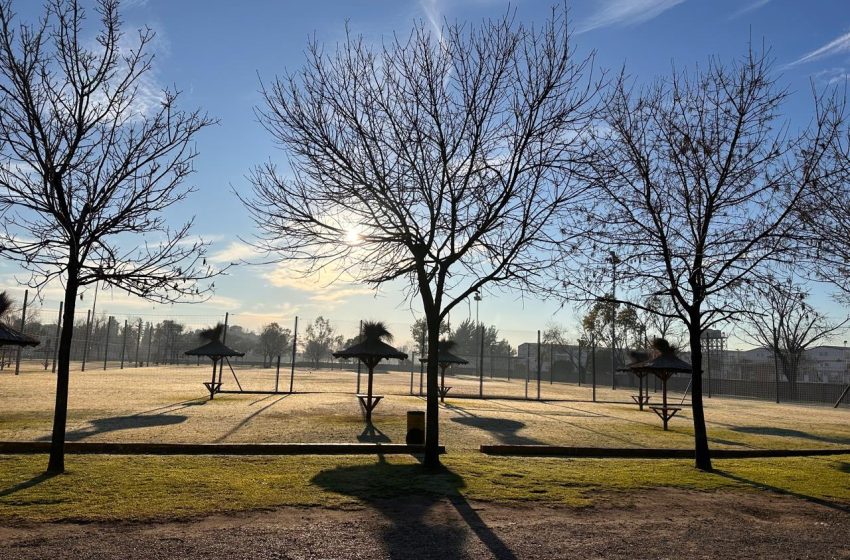Polideportivo. Gestión y crecimiento