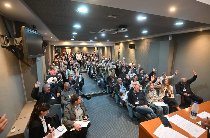  Aprobación de la memoria y balance y apoyo a la gestión de la conducción de la AMM